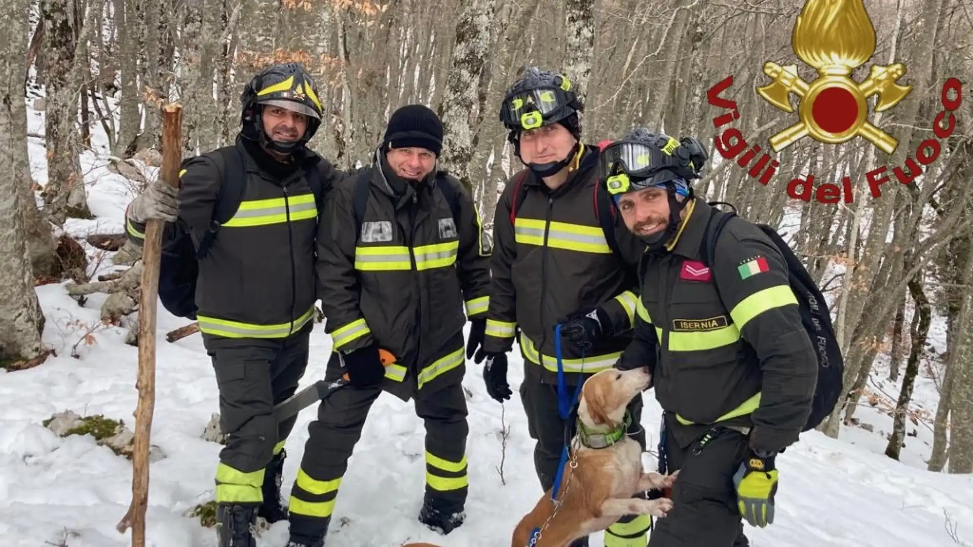 Castelnuovo al Volturno: i Vigili del Fuoco di Isernia recuperano due cani dispersi a Valle di Mezzo.